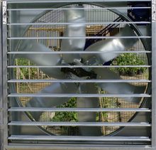 how to keep a greenhouse cool how to keep a greenhouse cool