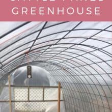 Building a Cattle Panel Greenhouse Building a Cattle Panel Greenhouse