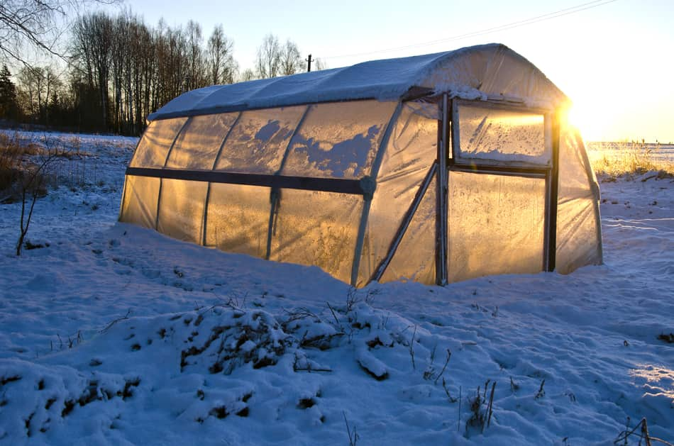 Winter greenhouse with snow - how to heat without electricity