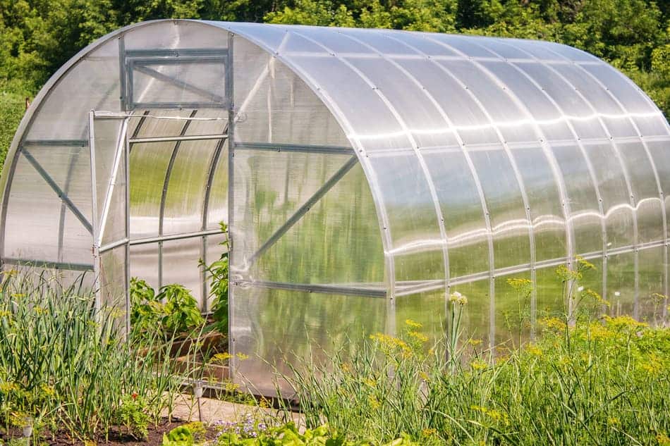 Greenhouse with plastic covering