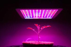 about LED grow lights