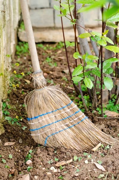 Best Way To Clean A Greenhouse