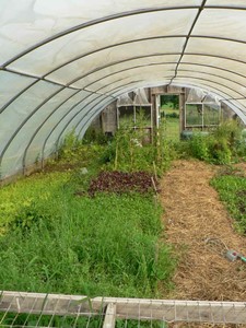 how to build a hoop greenhouse how to build a hoop greenhouse
