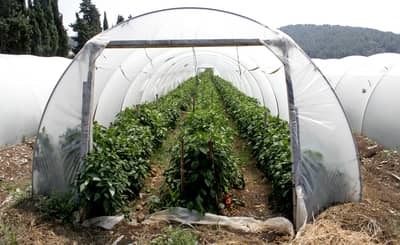 how to build a hoop greenhouse