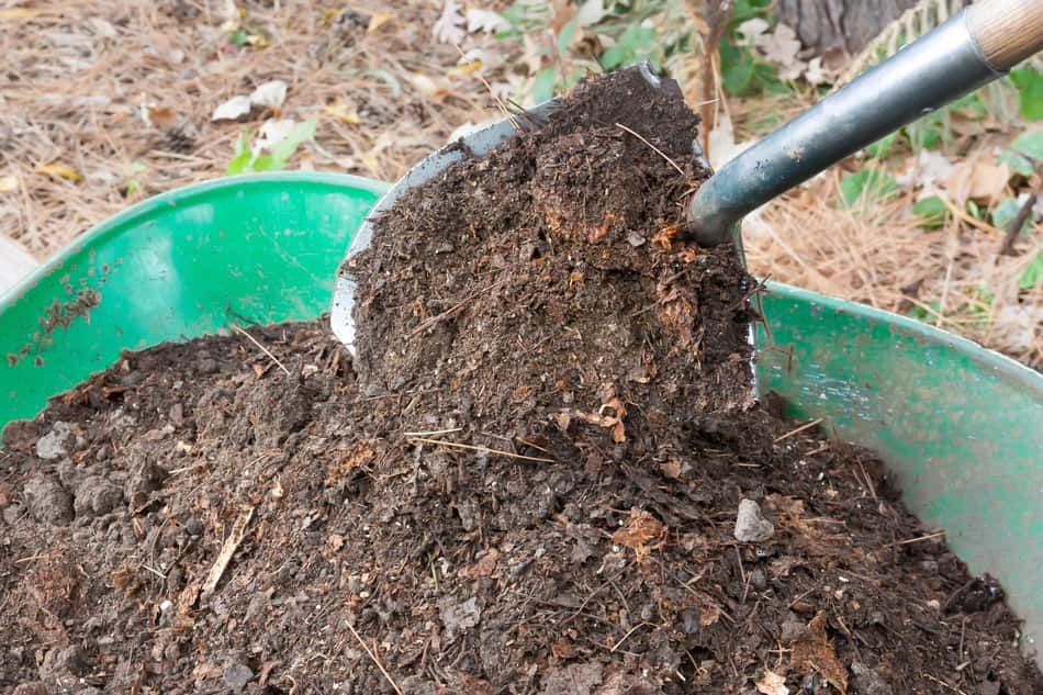 using compost to insulate your greenhouse