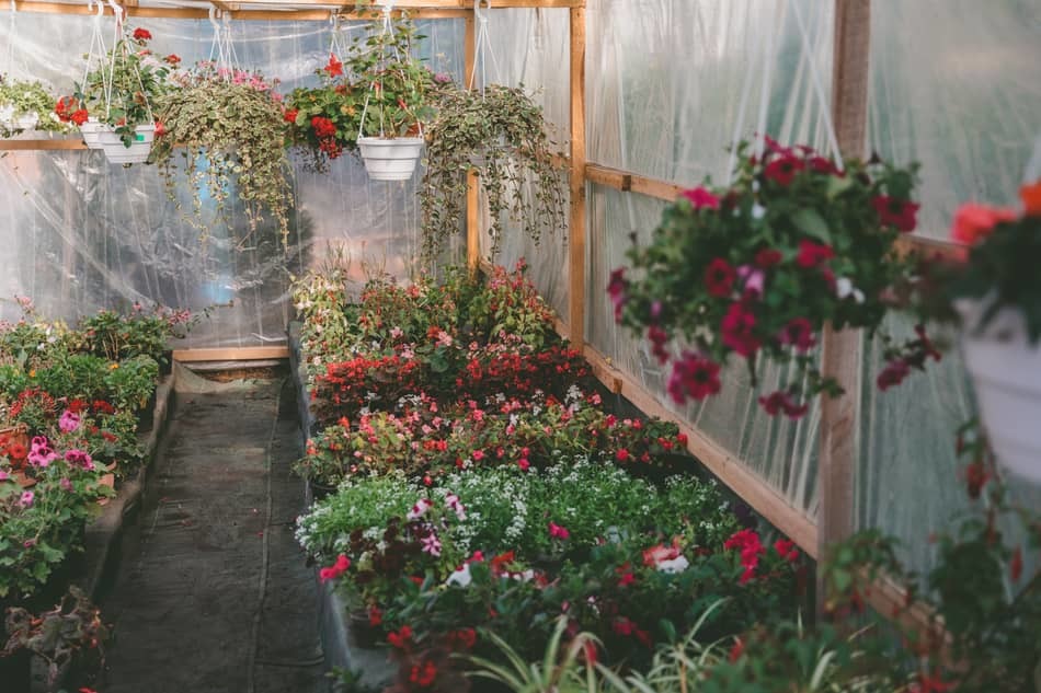 how to cool a greenhouse without electricity