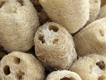 Loofa gourd sponges Loofa gourd sponges