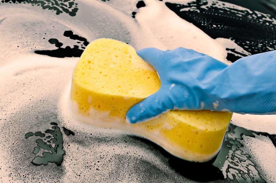 what should you use to clean a greenhouse