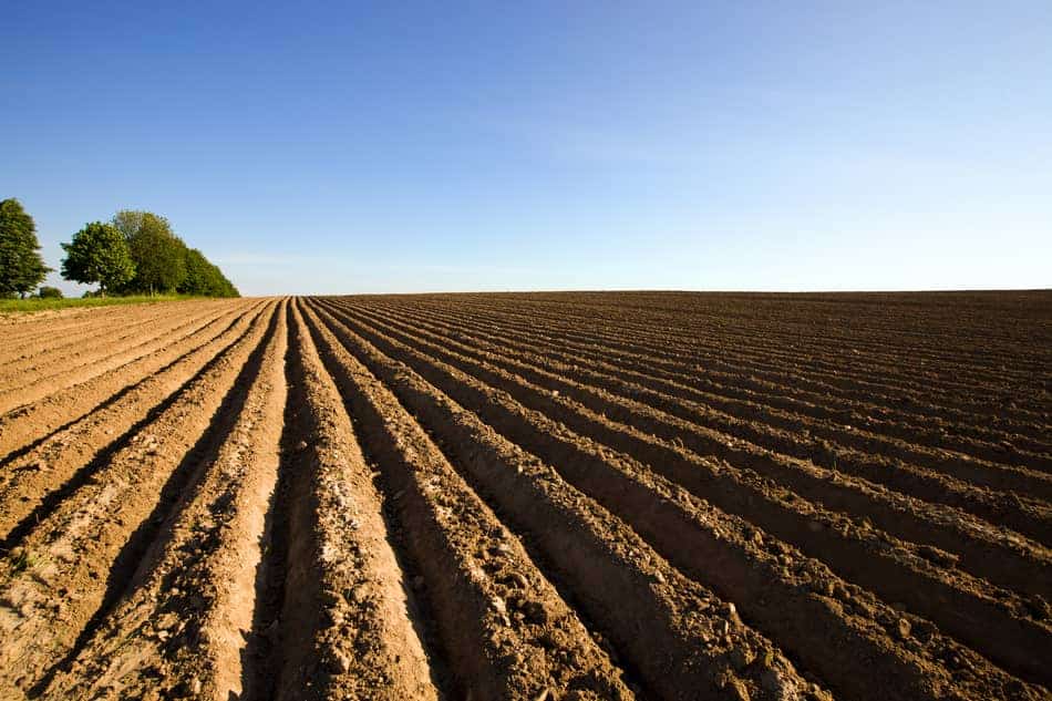 spacing and planting for potatoes