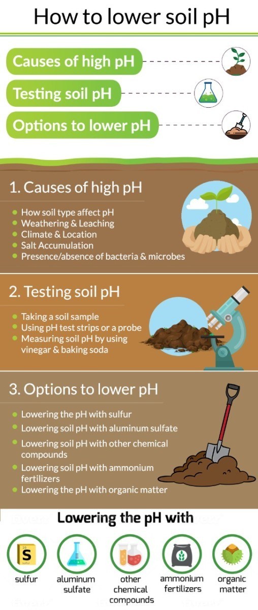 How to Lower Soil pH