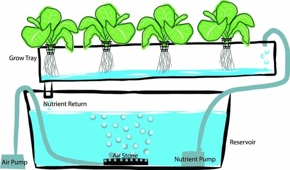 drip hydroponics system