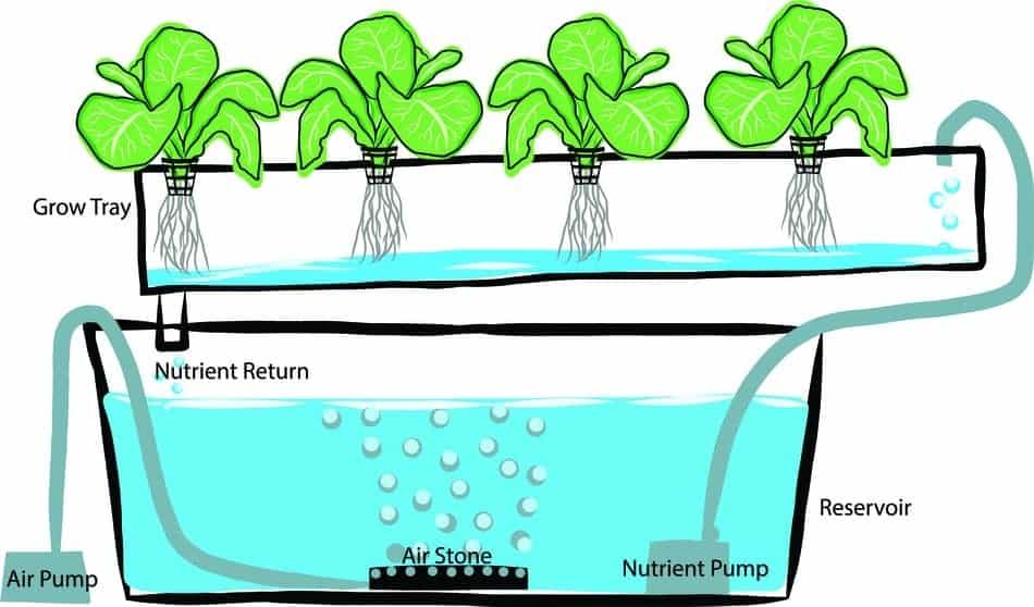 drip hydroponics system drip hydroponics system