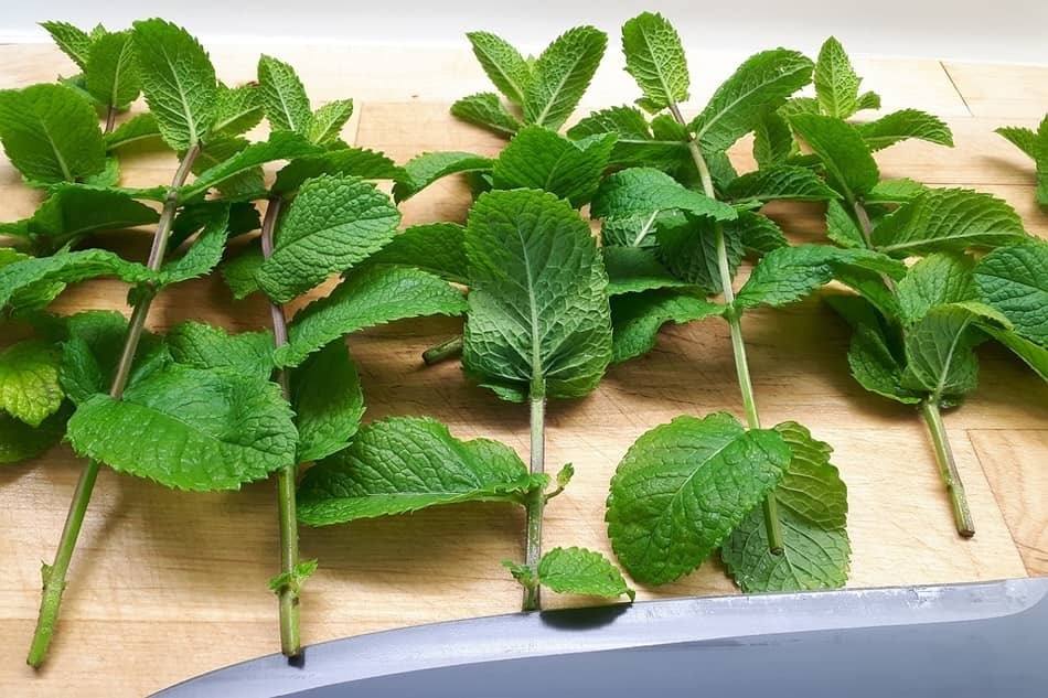 division and propagating division and propagating