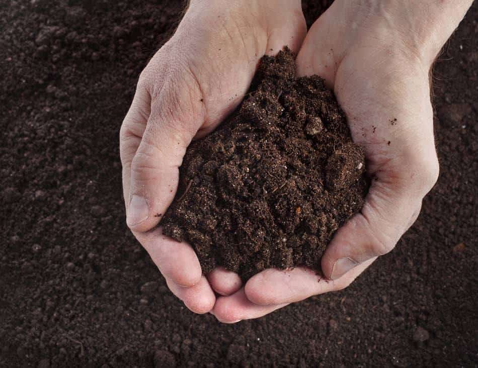 soil soil