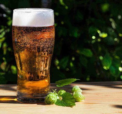 Beer in the Garden: The Definitive Guide