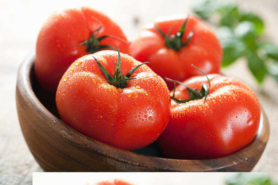 how to pick and store tomatoes