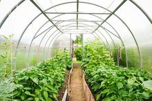 how to use a greenhouse how to use a greenhouse