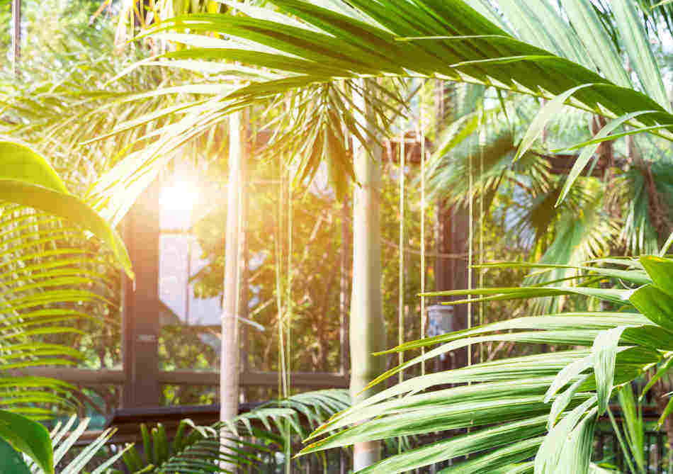 greenhouse heating cost considerations