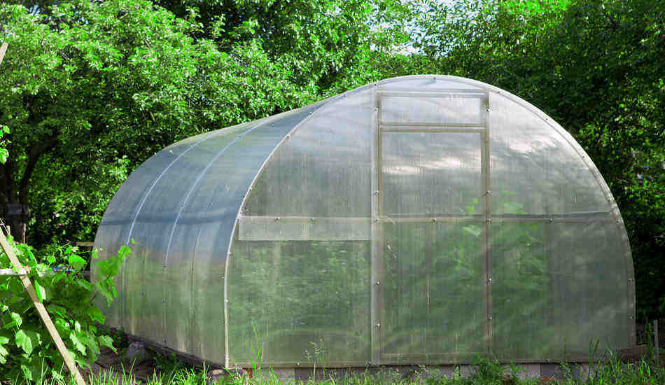 questions related to how to use a greenhouse