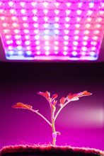 indoor greenhouses with grow lights indoor greenhouses with grow lights