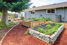 Alternatives to Pressure-Treated Lumber for Raised Beds