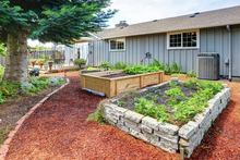 Alternatives to Pressure-Treated Lumber for Raised Beds Alternatives to Pressure-Treated Lumber for Raised Beds