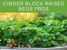 Cinder Block Raised Beds Pros