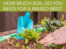 How Much Soil Do You Need For A Raised Bed?