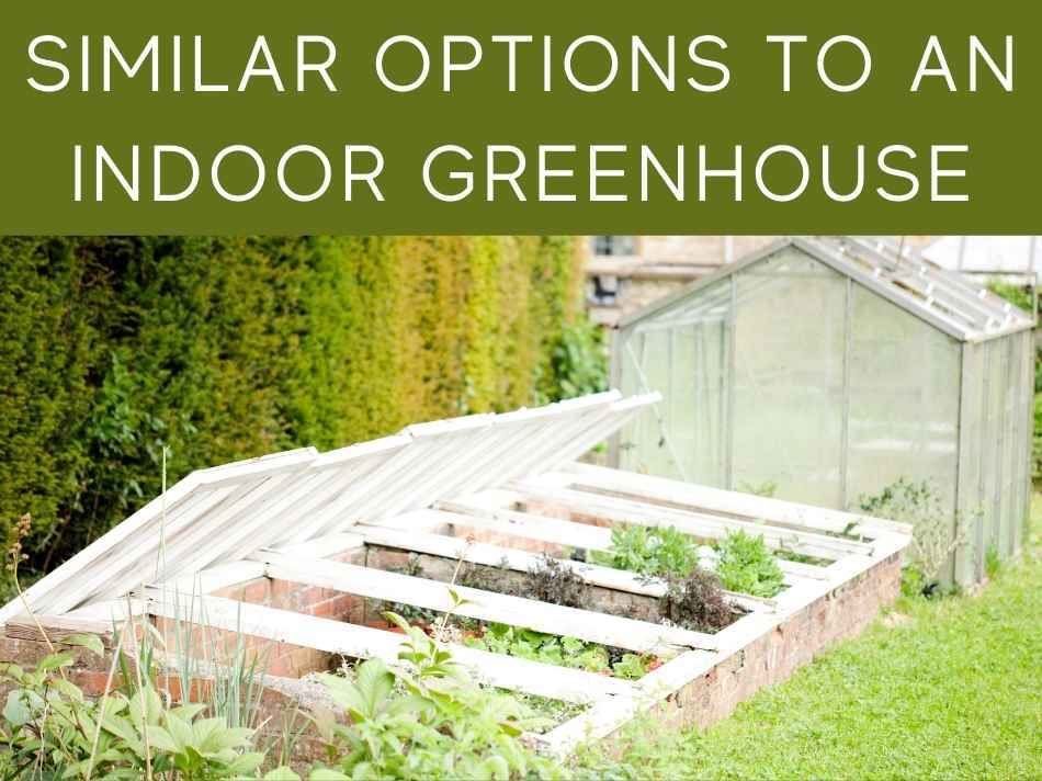 Similar Options To An Indoor Greenhouse