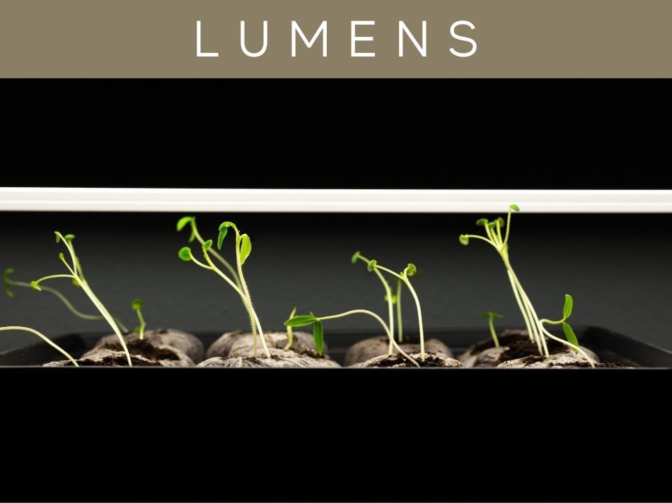 Lumens