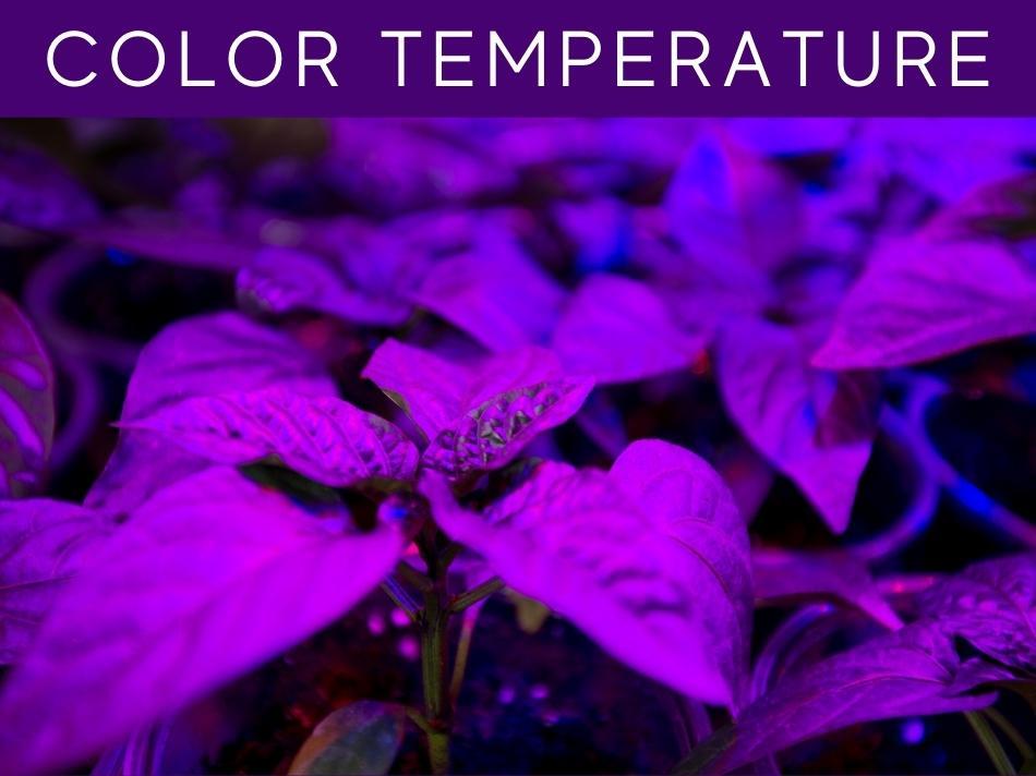 Color Temperature