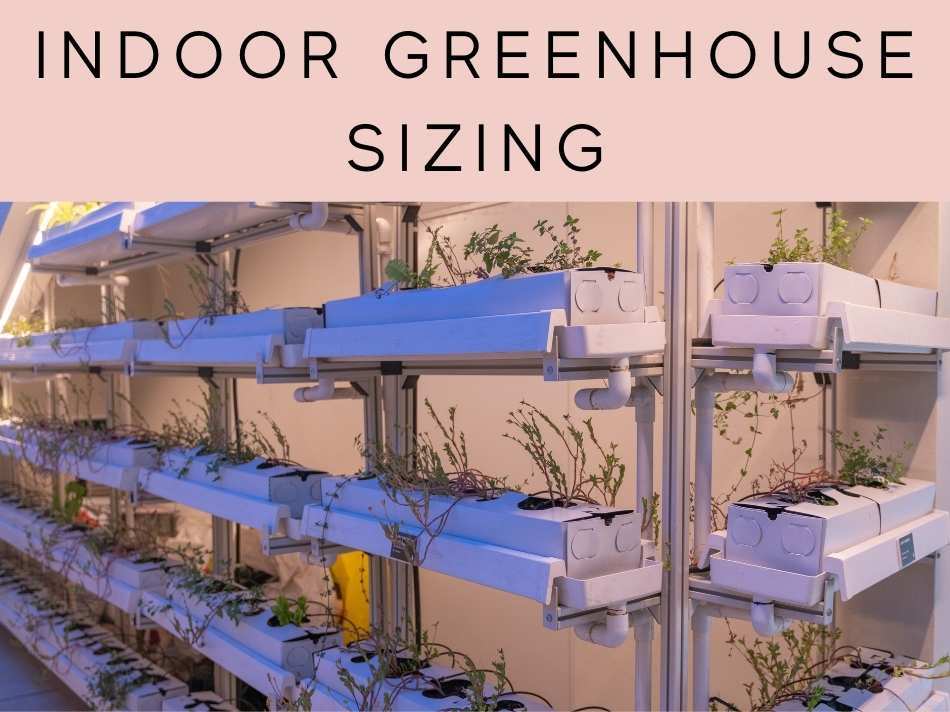 Indoor Greenhouse Sizing