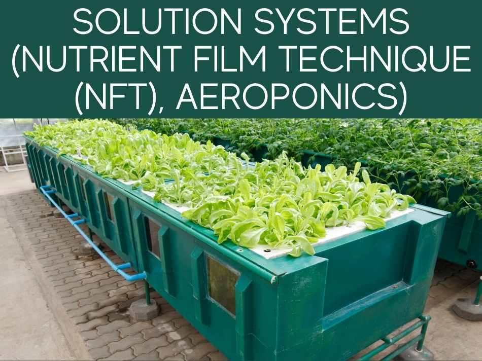Solution Systems (Nutrient Film Technique (NFT), Aeroponics)