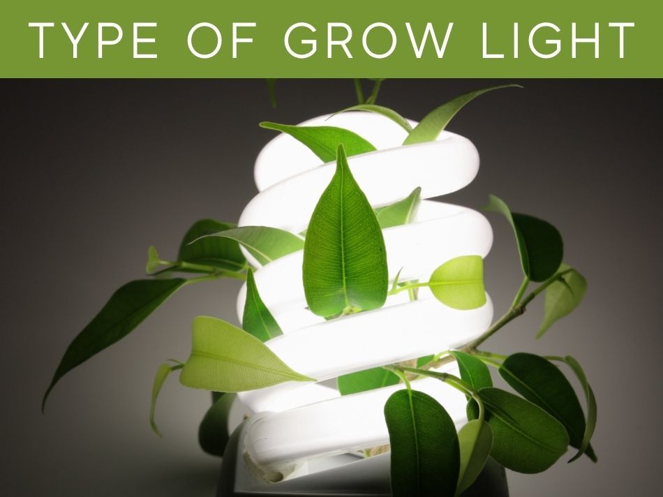 Type Of Grow Light
