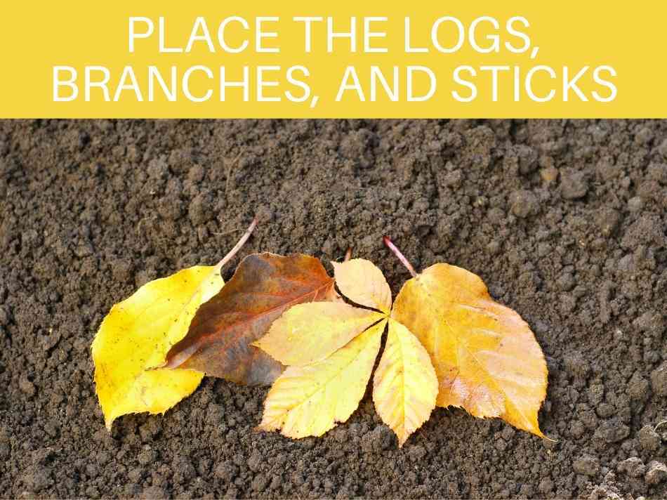 Place The Logs, Branches, And Sticks