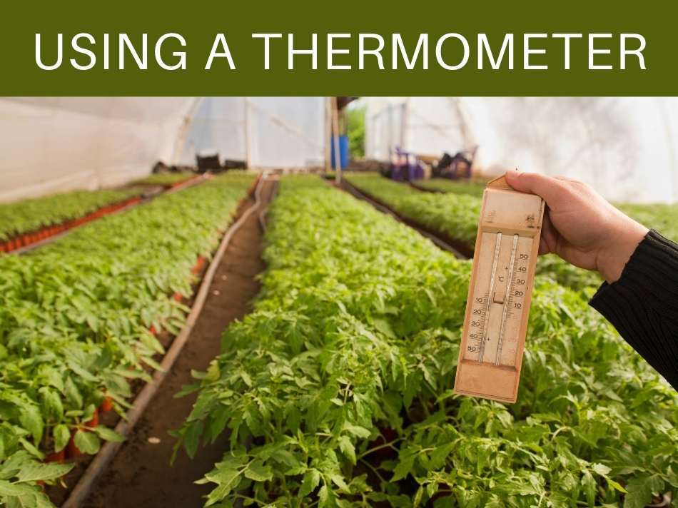 Using A Thermometer