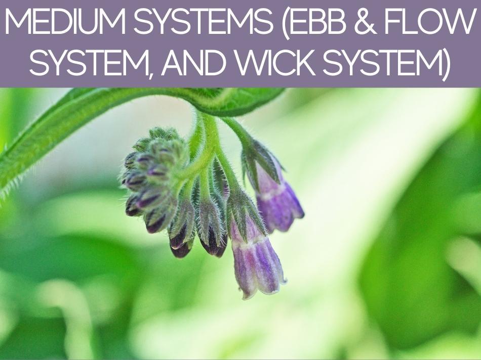 Medium Systems (EBB & Flow System, And Wick System)