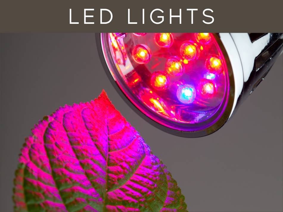 LED Lights