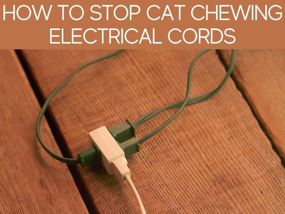 How To Stop Cat Chewing Electrical Cords