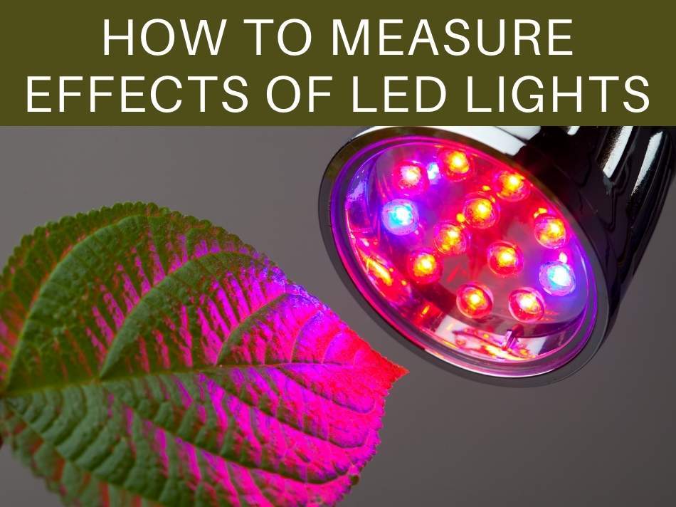 How To Measure Effects Of LED Lights