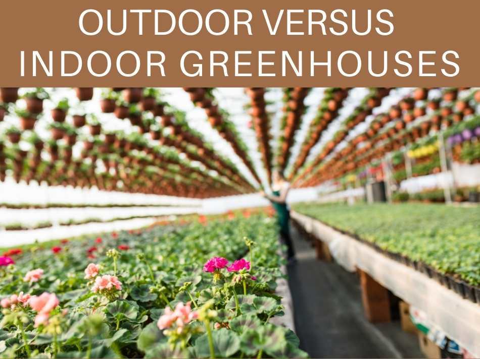 Outdoor Versus Indoor Greenhouses