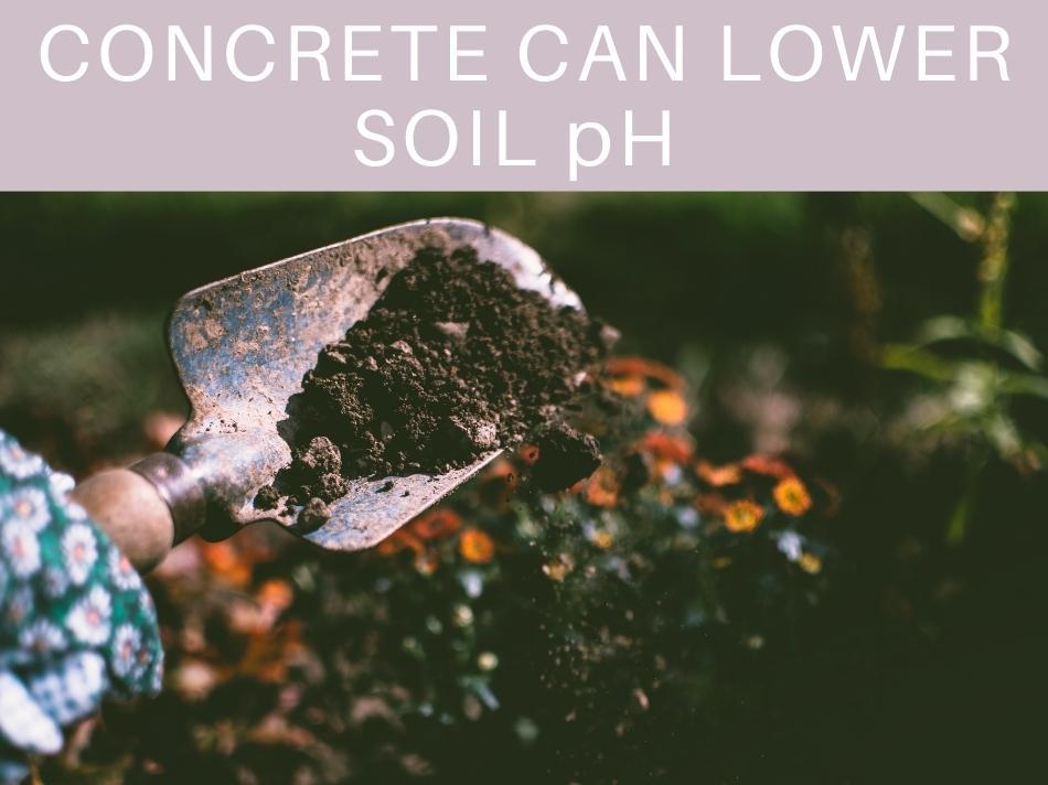 Concrete Can Lower Soil pH