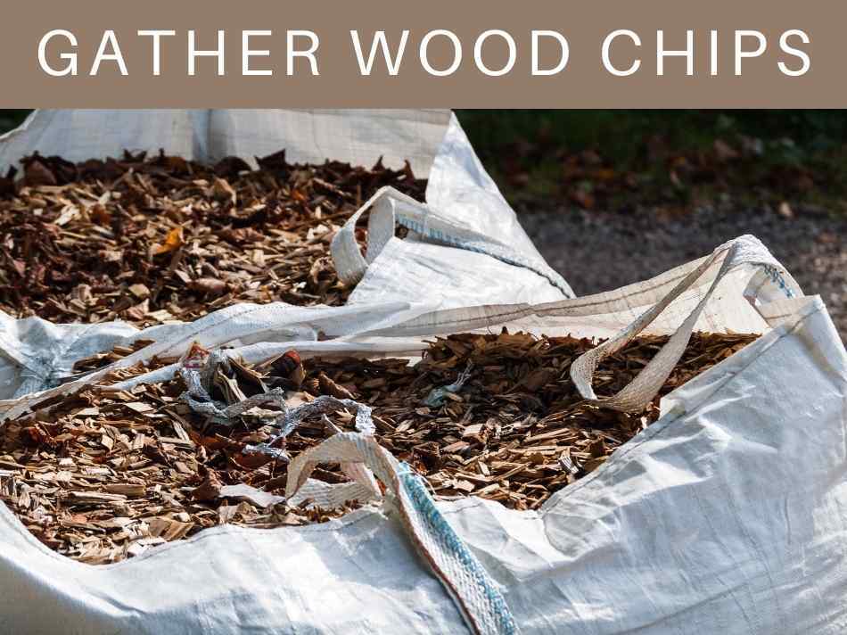 Gather Wood Chips