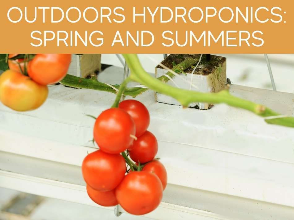 Outdoors Hydroponics: Spring And Summers