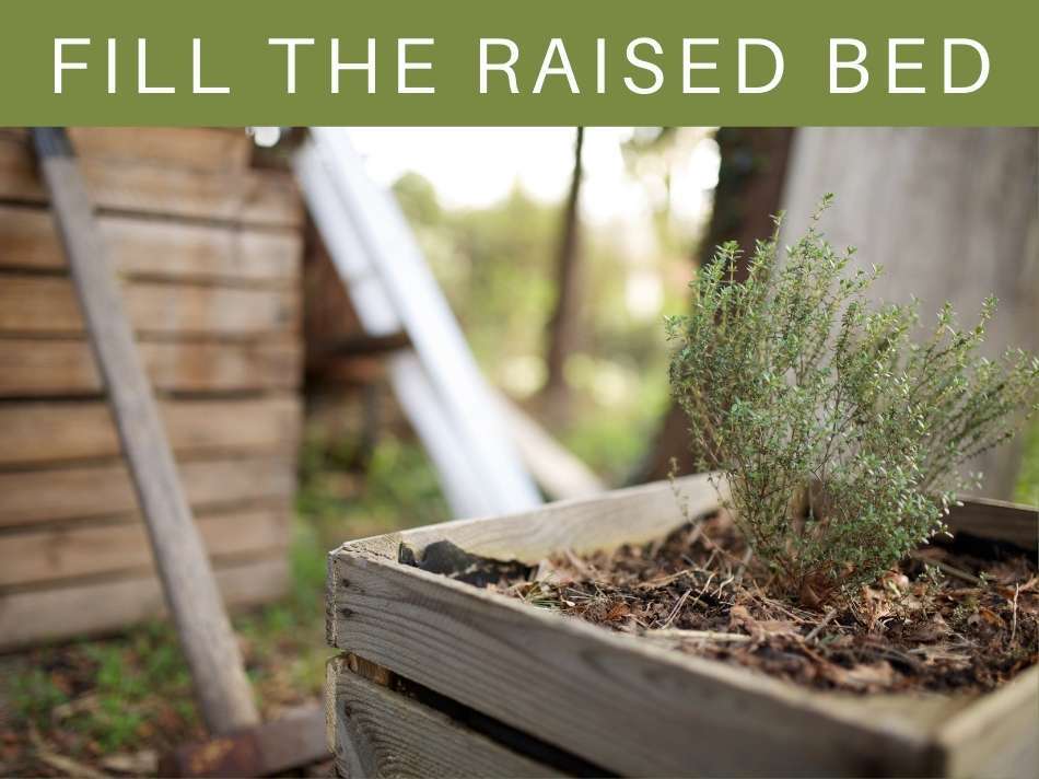 Fill The Raised Bed