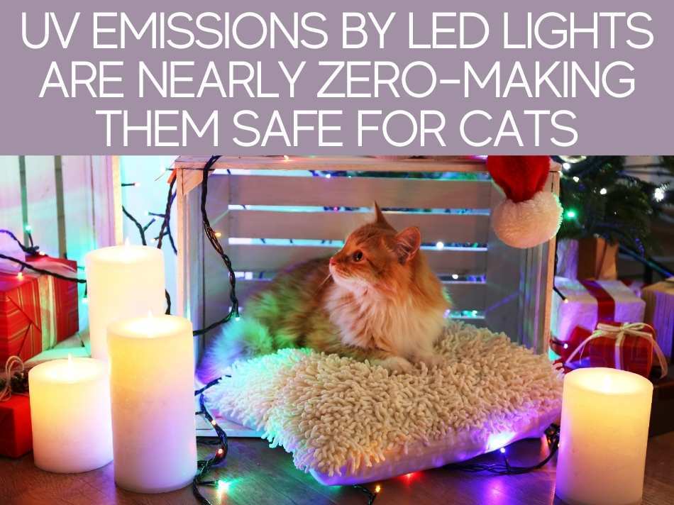 UV Emissions By LED Lights Are Nearly Zero -Making Them Safe For Cats