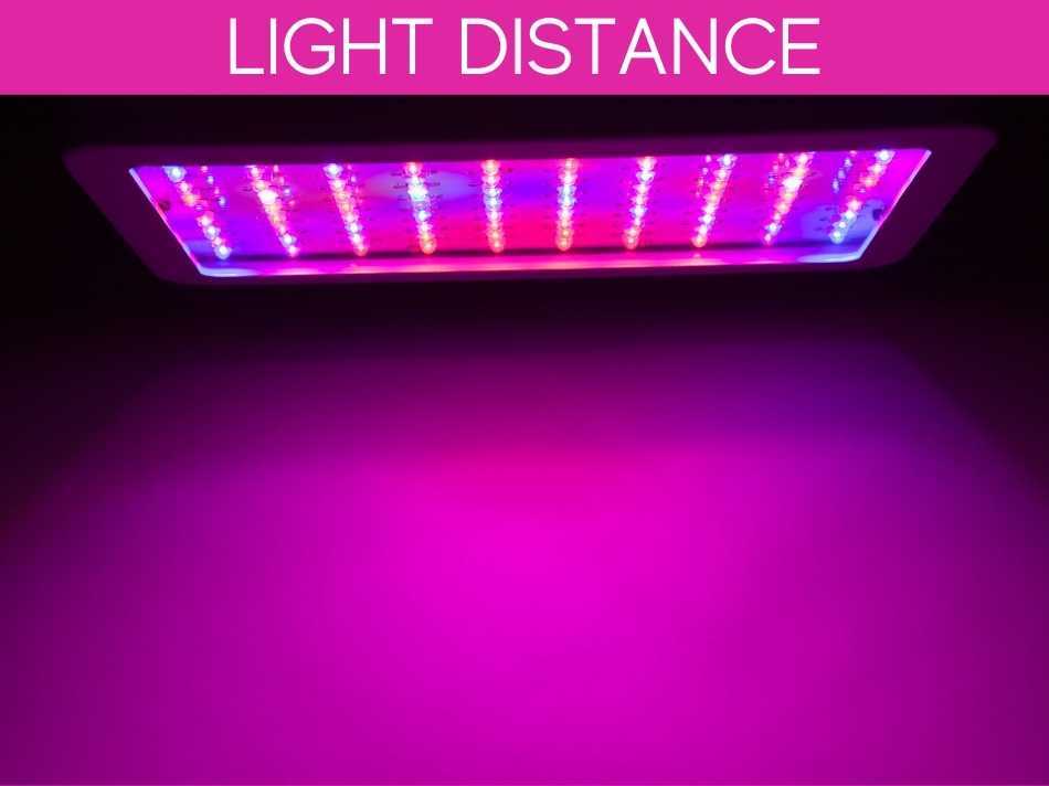 Light Distance