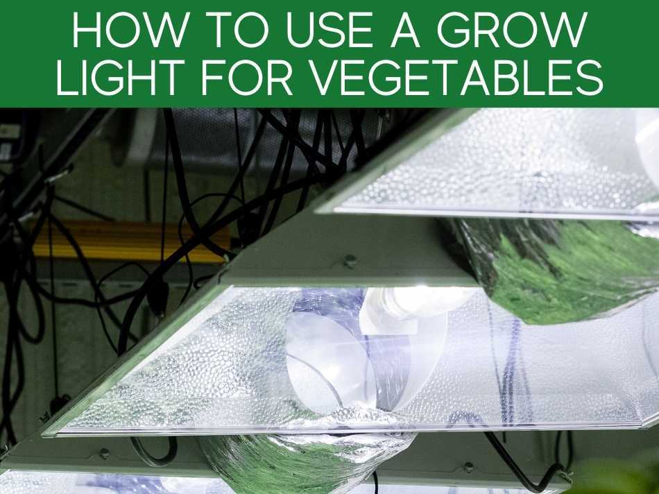 How To Use A Grow Light For Vegetable