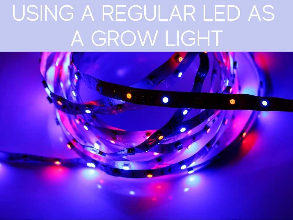 Using A Regular LED As A Grow Light