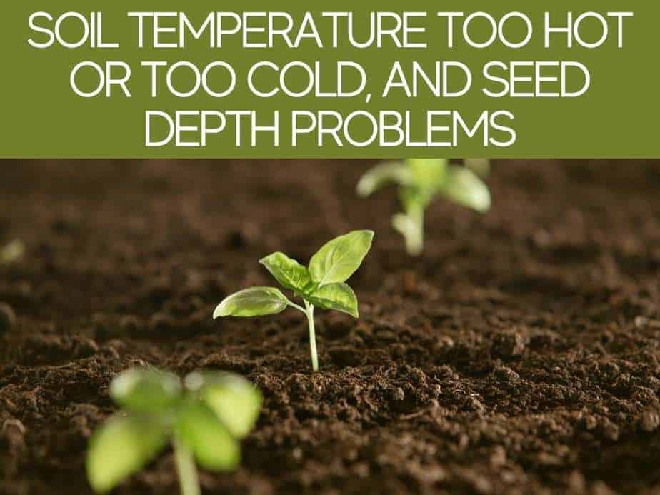 Soil Temperature Too Hot Or Too Cold, And Seed Depth Problems